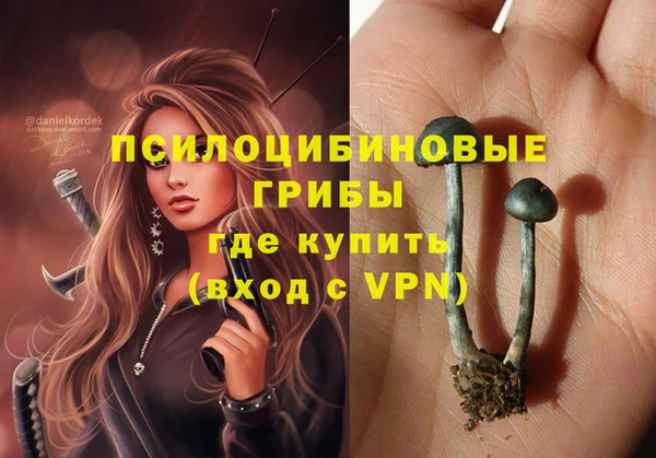 Альфа ПВП Абаза