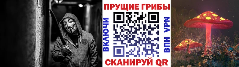 Галлюциногенные грибы мухоморы  Смоленск 